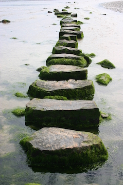 Home Page Image
